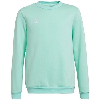 textil Pige Sweatshirts adidas Originals Entrada 22 Sweat Top Grøn