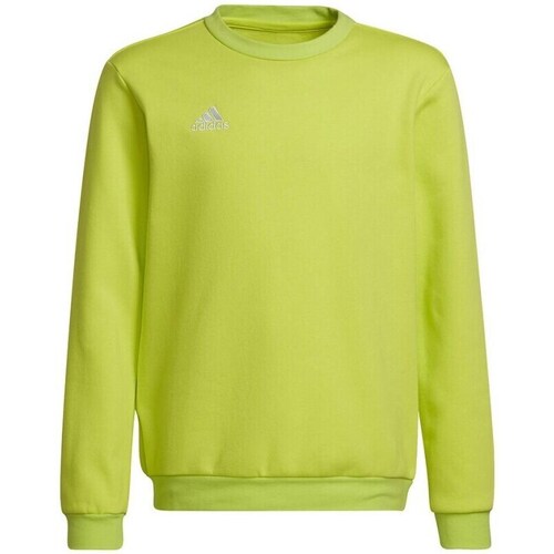 textil Pige Sweatshirts adidas Originals Entrada 22 Sweat Top Grøn