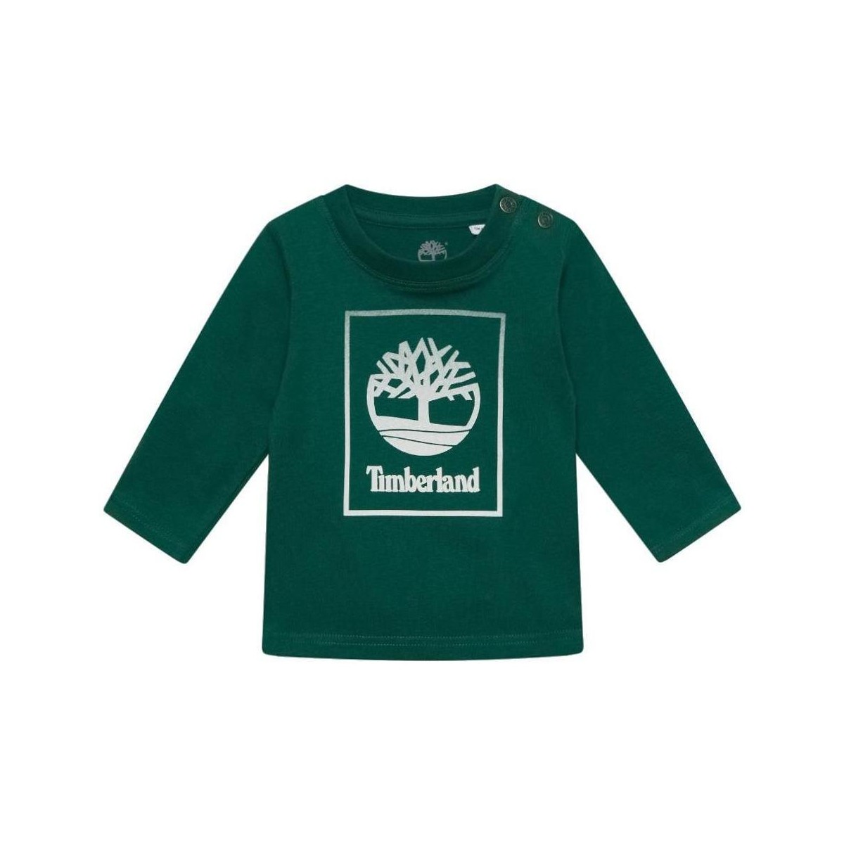 textil Dreng T-shirts m. korte ærmer Timberland  Grøn