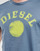 textil Herre T-shirts m. korte ærmer Diesel T-DIEGOR-K56 Blå / Grøn