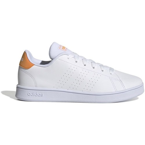 Sko Børn Lave sneakers adidas Originals Advantage Hvid