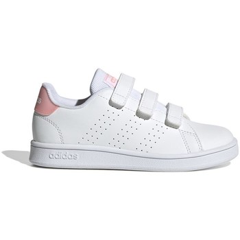 Sko Børn Lave sneakers adidas Originals Advantage C Hvid