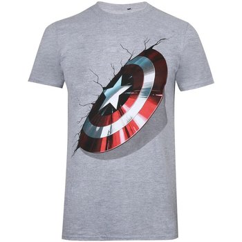textil Herre Langærmede T-shirts Captain America  Grå