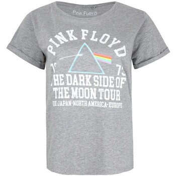 textil Dame Langærmede T-shirts Pink Floyd  Grå