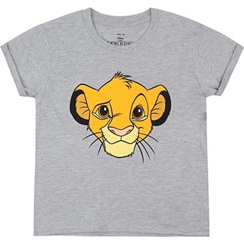 textil Dame Langærmede T-shirts The Lion King  Grå