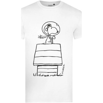 textil Herre Langærmede T-shirts Peanuts  Hvid