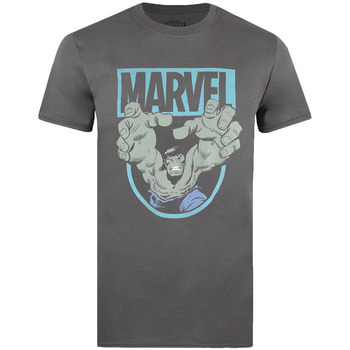textil Herre Langærmede T-shirts Hulk  Flerfarvet