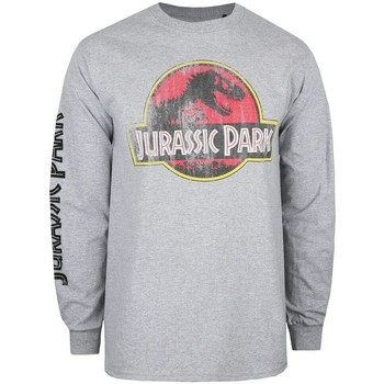 textil Herre Langærmede T-shirts Jurassic Park  Grå