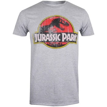 textil Herre Langærmede T-shirts Jurassic Park  Grå
