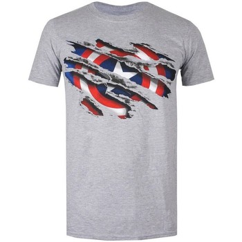 textil Herre Langærmede T-shirts Captain America  Hvid