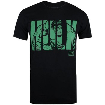 textil Herre Langærmede T-shirts Hulk  Sort