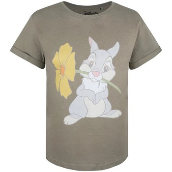 textil Dame Langærmede T-shirts Bambi  Flerfarvet
