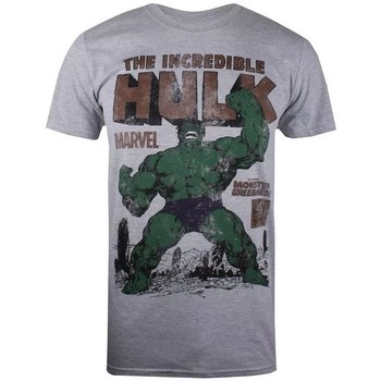 textil Herre Langærmede T-shirts Hulk  Grå