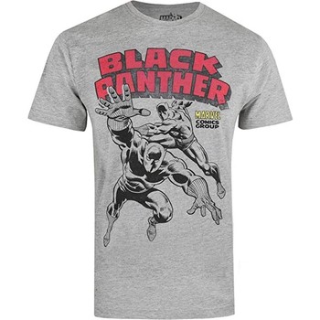 textil Herre Langærmede T-shirts Black Panther  Grå