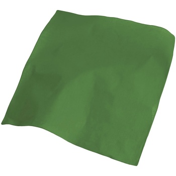 Accessories Halstørklæder Atlantis  Grøn