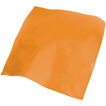 Accessories Halstørklæder Atlantis  Orange