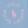 textil Pige T-shirts m. korte ærmer Polo Ralph Lauren SS GRAPHIC T-KNIT SHIRTS-T-SHIRT Blå / Himmelblå / Pink