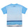 textil Dreng T-shirts m. korte ærmer Desigual TS_ALBERT Blå