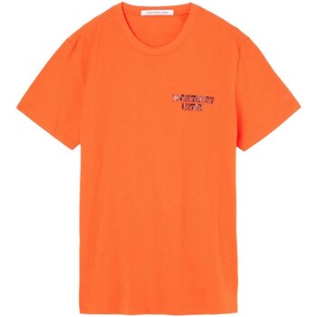 textil Herre T-shirts m. korte ærmer Calvin Klein Jeans J30J321772 Orange