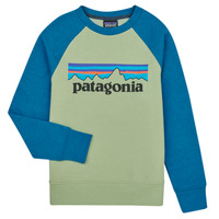 textil Børn Sweatshirts Patagonia K's LW Crew Sweatshirt Flerfarvet