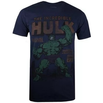 textil Herre Langærmede T-shirts Hulk  Blå
