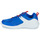 Sko Børn Lave sneakers Reebok Sport REEBOK RUSH RUNNER 4.0 Blå / Hvid