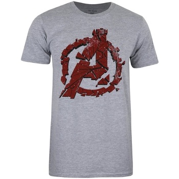 textil Herre Langærmede T-shirts Avengers Endgame  Grå
