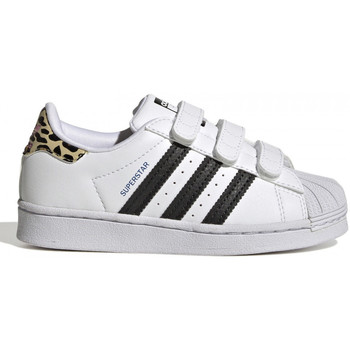Sko Børn Sneakers adidas Originals Superstar cf c Hvid