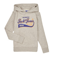 textil Dreng Sweatshirts Jack & Jones JJELOGO SWEAT HOOD 2 COL 23/24 JNR Grå
