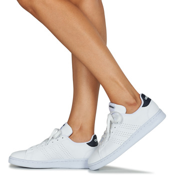 Adidas Sportswear ADVANTAGE Hvid / Blå