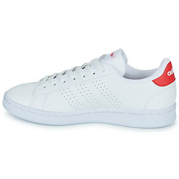Adidas Sportswear ADVANTAGE Hvid / Rød