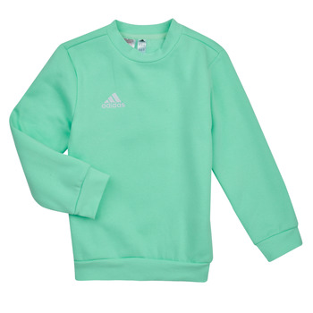textil Børn Sweatshirts adidas Performance ENT22 SW TOPY Mynte