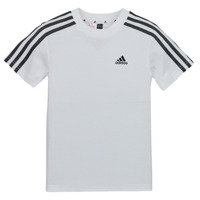 textil Børn T-shirts m. korte ærmer Adidas Sportswear LK 3S CO TEE Hvid