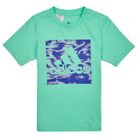 textil Børn T-shirts m. korte ærmer Adidas Sportswear AKD GT Grøn