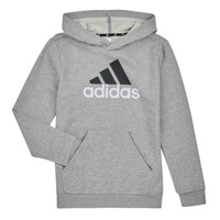 textil Dreng Sweatshirts Adidas Sportswear BL 2 HOODIE Lyng / Grå / Medium