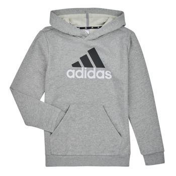 textil Dreng Sweatshirts Adidas Sportswear BL 2 HOODIE Lyng / Grå / Medium