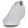 Sko Dame Lave sneakers Saola CANNON KNIT II Hvid