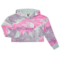 textil Pige Sweatshirts The North Face Girls Drew Peak Light Hoodie Flerfarvet