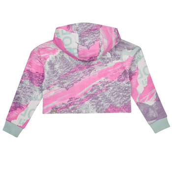 The North Face Girls Drew Peak Light Hoodie Flerfarvet