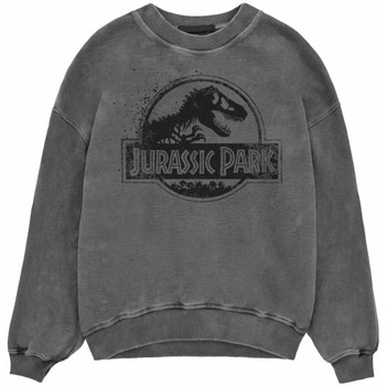 textil Sweatshirts Jurassic Park  Sort