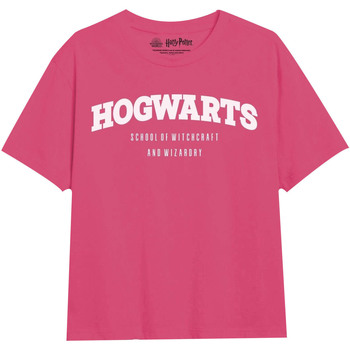 textil Pige Langærmede T-shirts Harry Potter  Flerfarvet