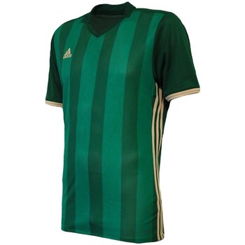 textil Herre T-shirts m. korte ærmer adidas Originals Condivo 16 Grøn