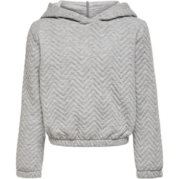 textil Pige Sweatshirts Kids Only SUDADERA GRIS NIA  15235549 Grå