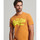 textil Herre T-shirts & poloer Superdry Vintage vl neon Brun