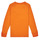 textil Dreng Langærmede T-shirts Levi's LS GRAPHIC TEE SHIRT Orange