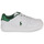 Sko Børn Lave sneakers Polo Ralph Lauren POLO COURT Hvid / Grøn
