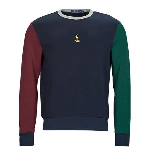textil Herre Sweatshirts Polo Ralph Lauren SWEAT COL ROND EN DOUBLE KNIT TECH Flerfarvet