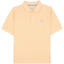 textil Dreng T-shirts m. korte ærmer Scalpers  Orange