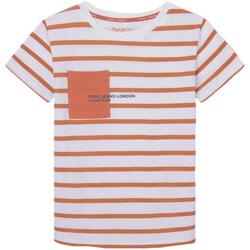 textil Dreng T-shirts m. korte ærmer Pepe jeans  Orange