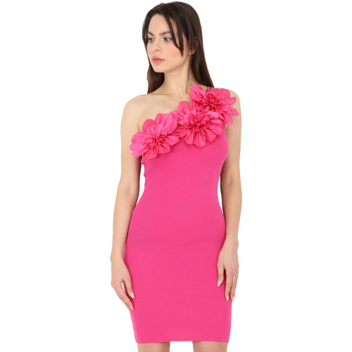 textil Dame Kjoler La Modeuse 66289_P153988 Pink